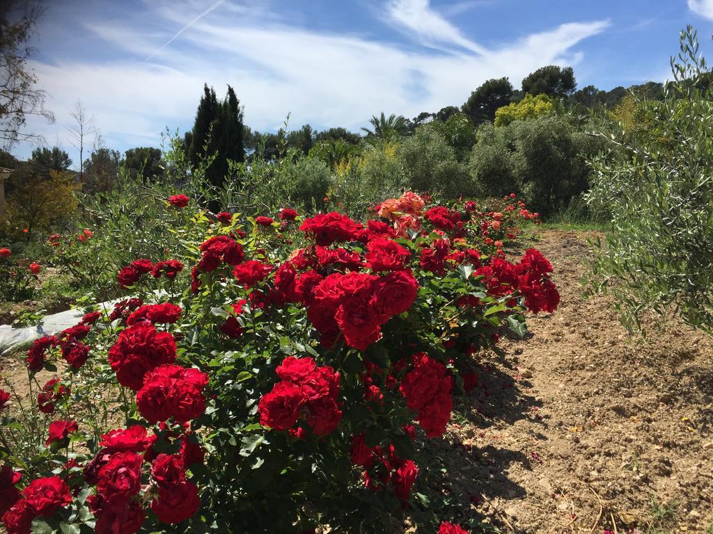 לה קדייר-ד'אזור Le Clos De La Chevre Sud מראה חיצוני תמונה